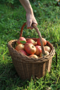 Budget Food: Finding Fish, Fruit, and Produce on the Cheap Image